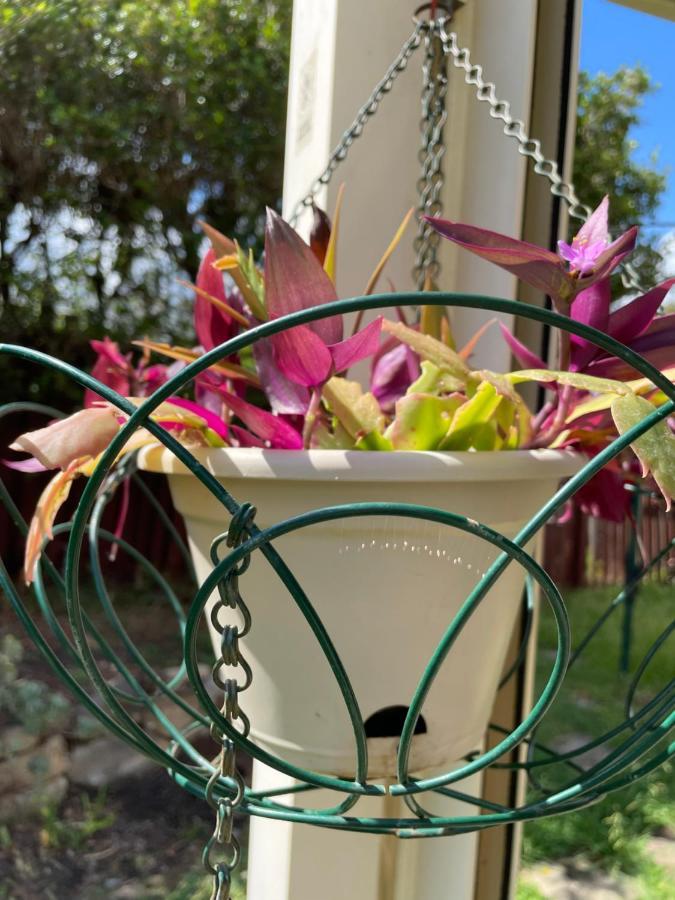 Theme Parks Amituofo Homestay โกลด์โคสต์ ภายนอก รูปภาพ